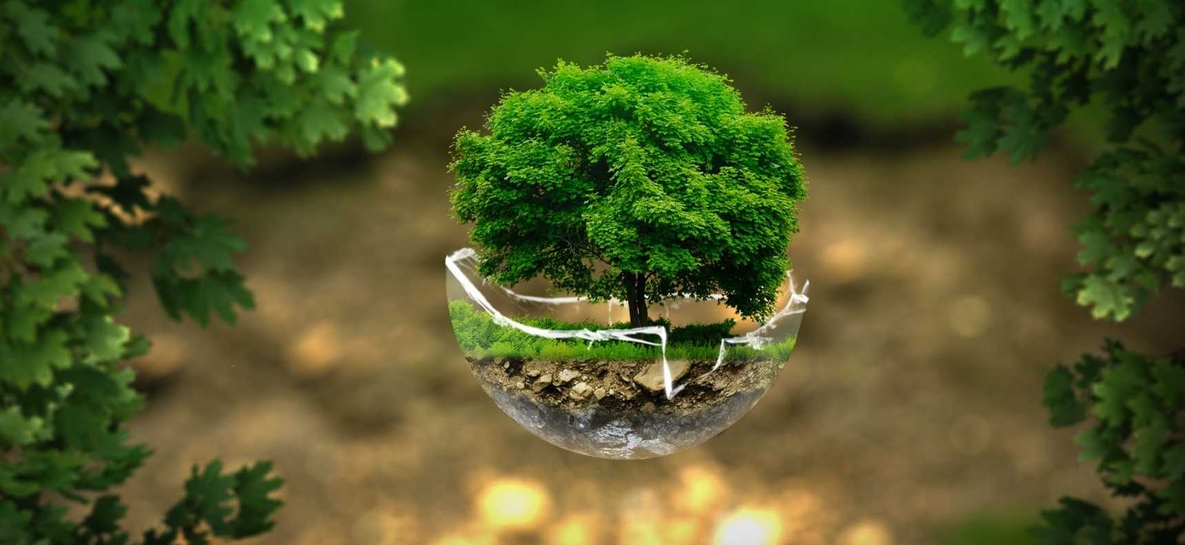 blog-waste-to-energy